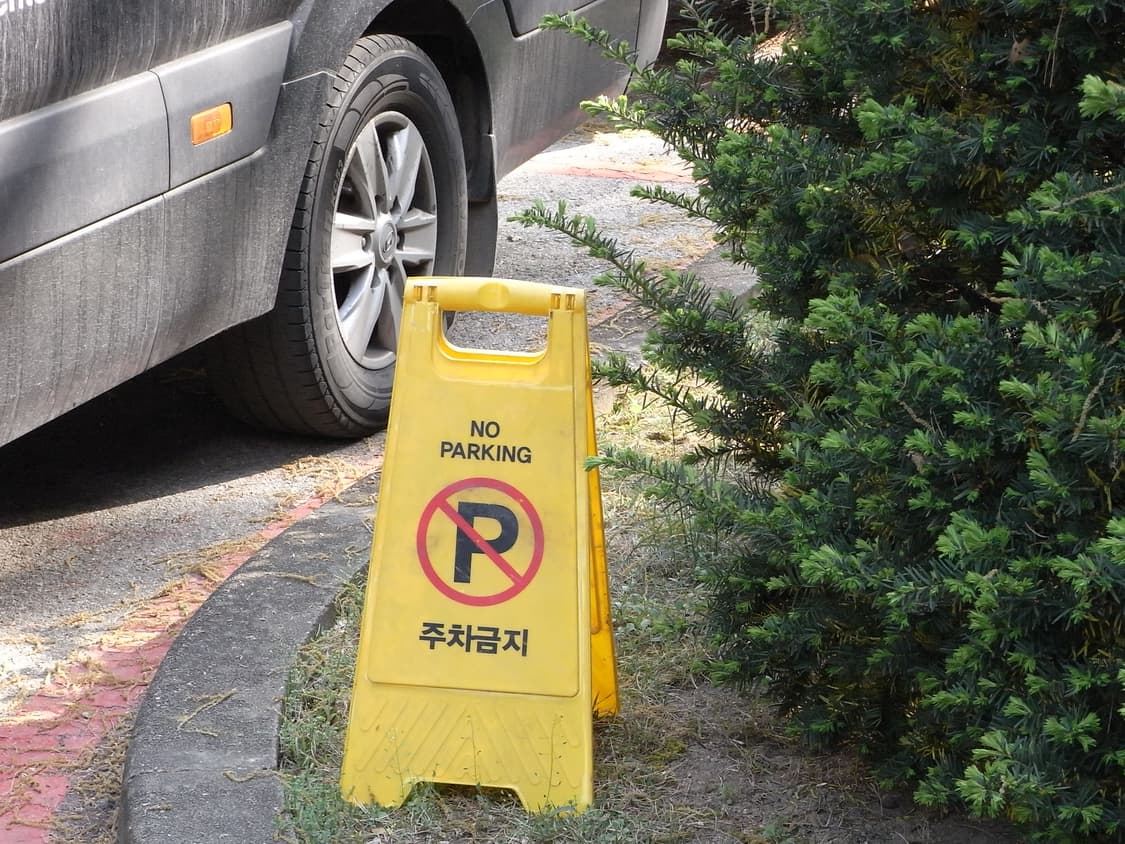 Ricoh Caplio R10 / 리코 카플리오 R10 디키 상품이미지5