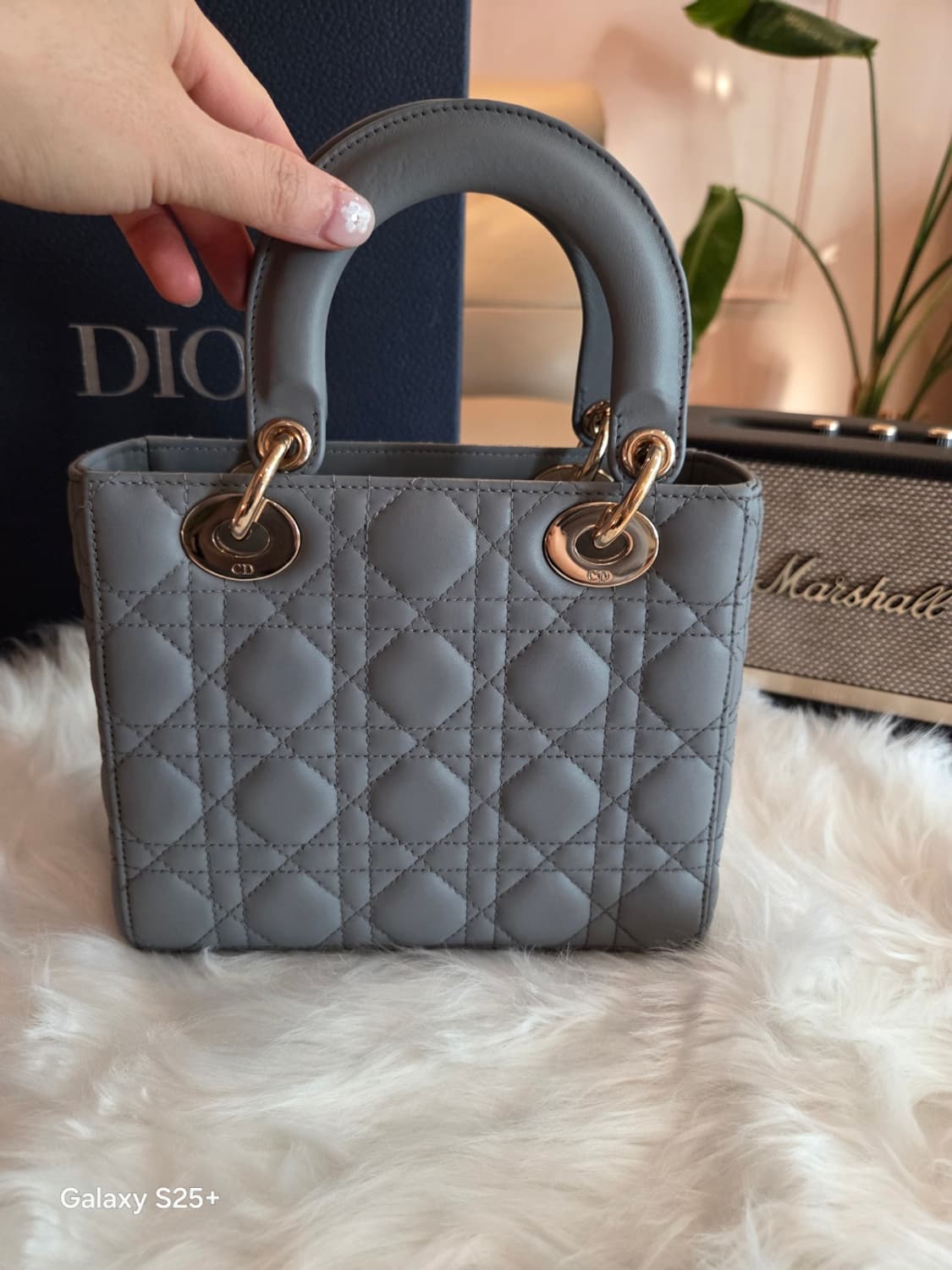 디올 레이디백 최신형 디자이너 엘레나 에디션 상품이미지4