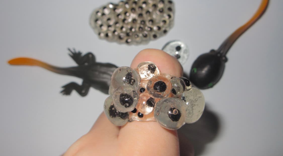 Frog egg ring 🐸🪺 상품이미지1