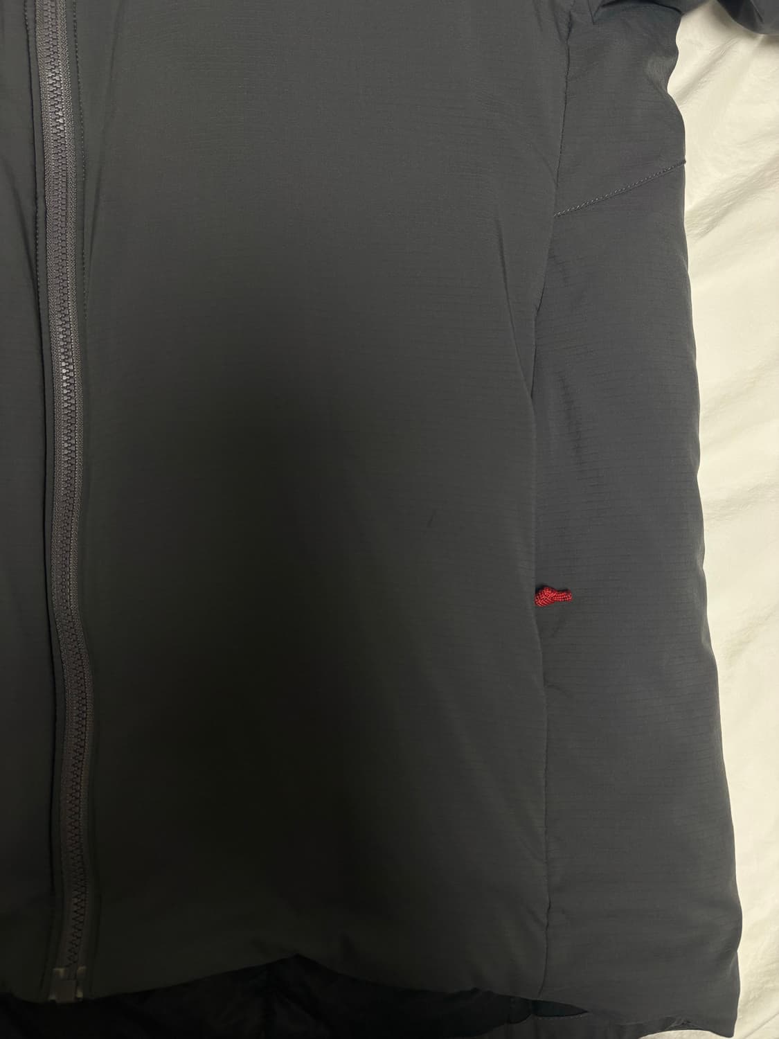 아크테릭스 아톰 후디 상품이미지3