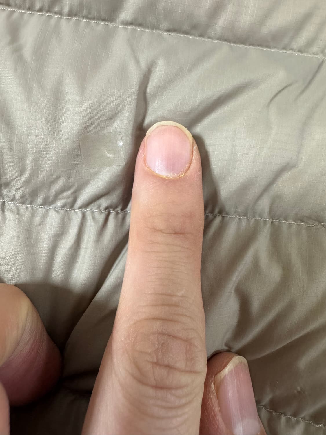 L 파타고니아 다운스웨터 후디 씨버드그레이 상품이미지3