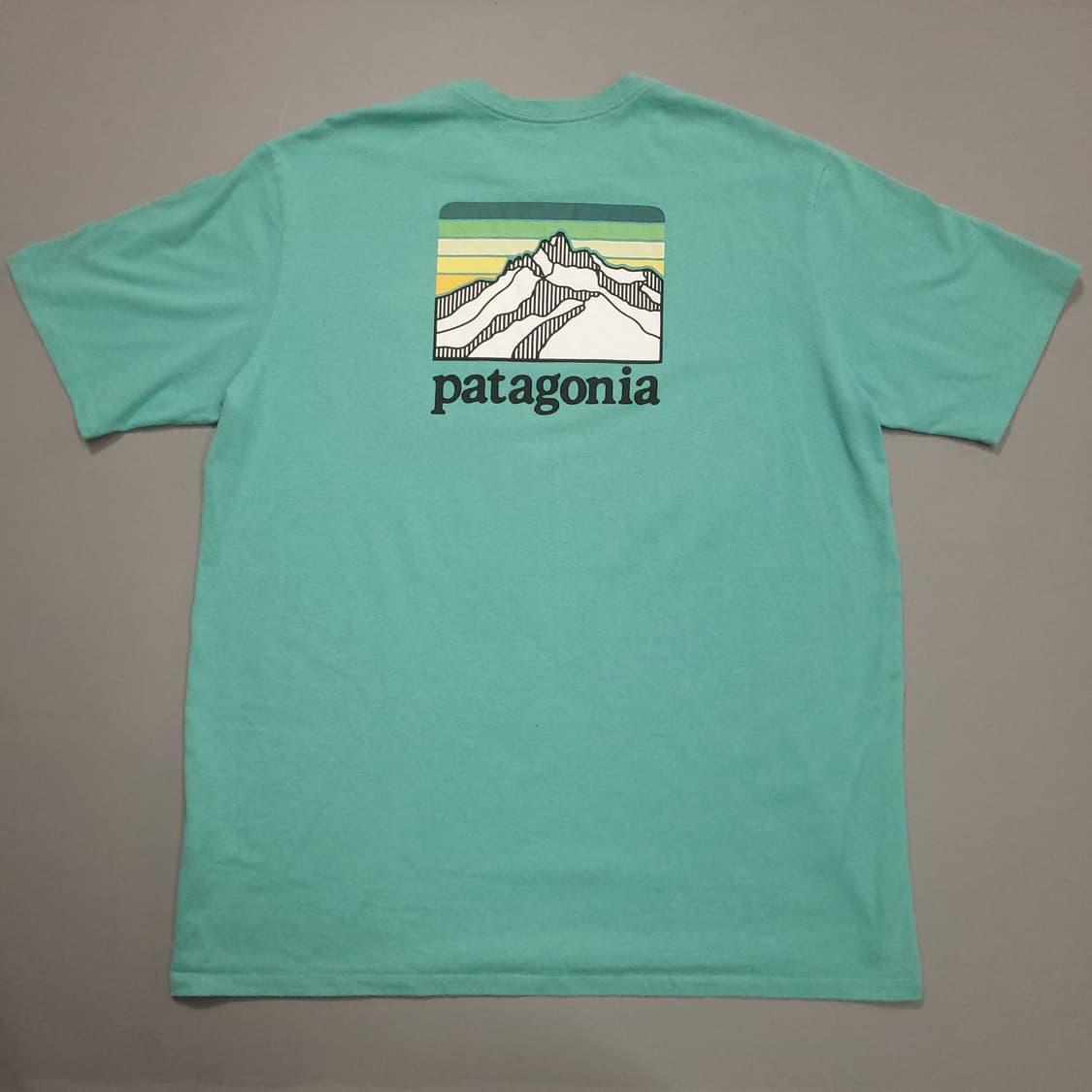 파타고니아 반팔 티셔츠 L 상품이미지1