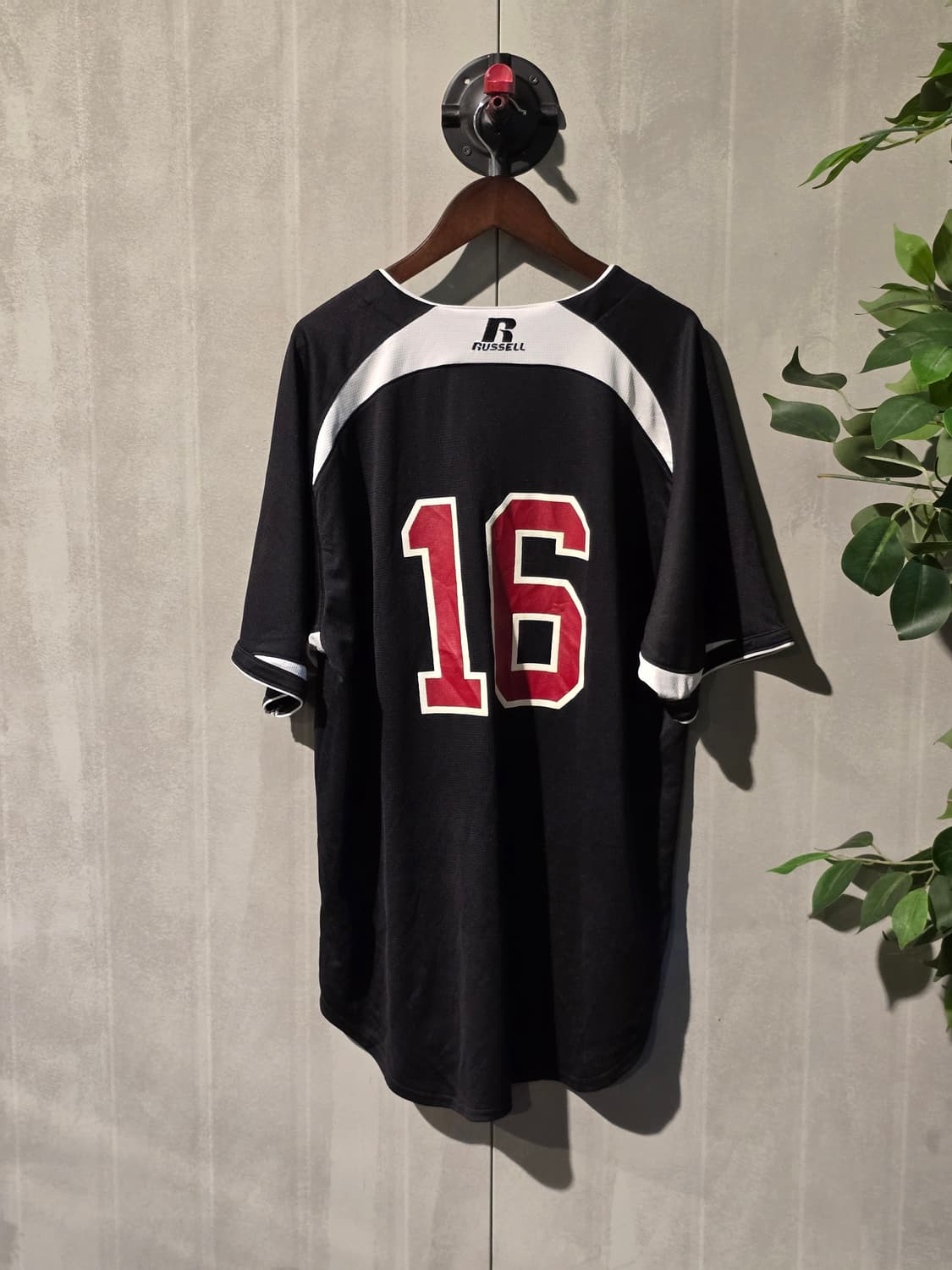 Russell Athletic 상품이미지6