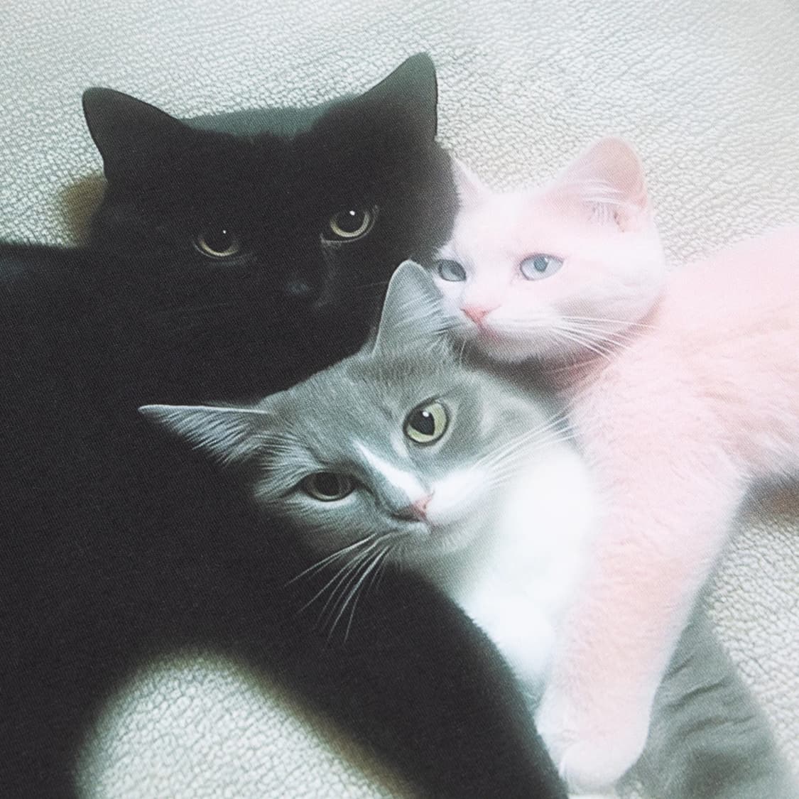 (S) 애슐리 윌리엄스 키튼 트리오 티셔츠 상품이미지3