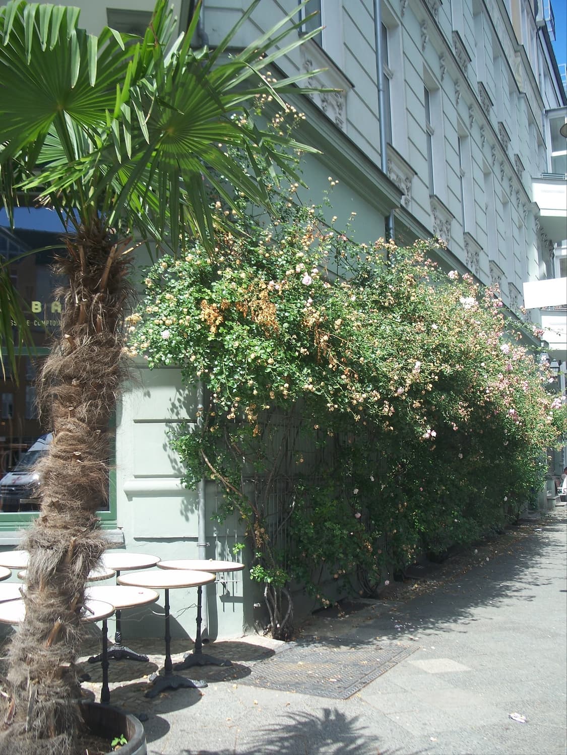 ❗️할인 코닥 이지쉐어 M883 상품이미지6