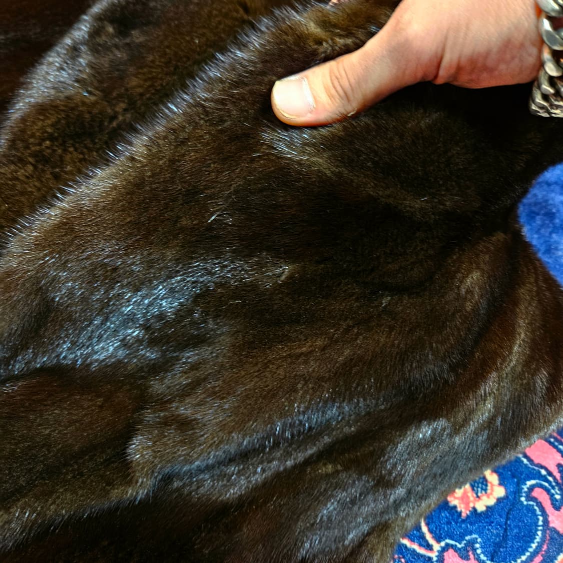 진도모피(JINDO) 다크 브라운 통 밍크 코트 베스트 + 모피 머플러 상품이미지5