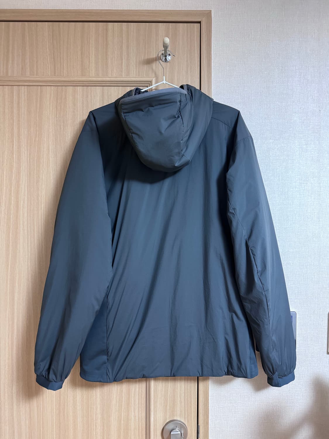 아크테릭스 아톰 lt 후디 글리치 민트급 상품이미지3