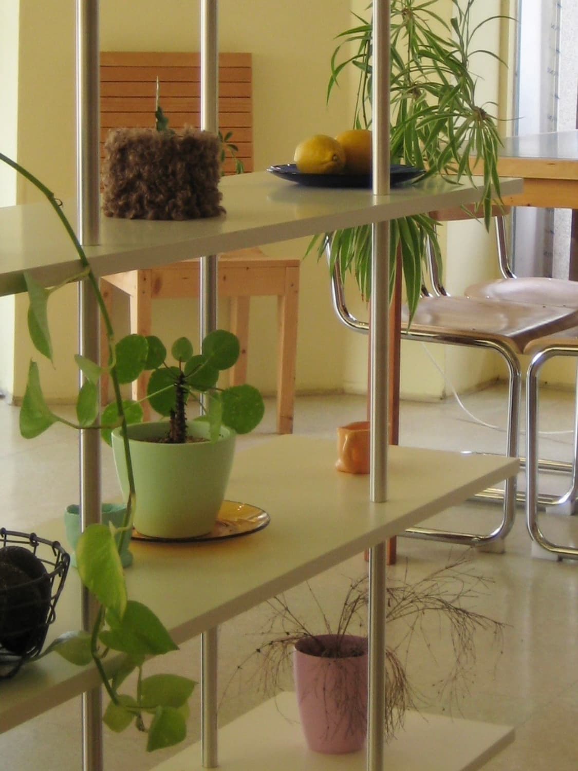 캐논 익서스 70 익시 10 canon ixus 70 빈티지 디카 상품이미지9