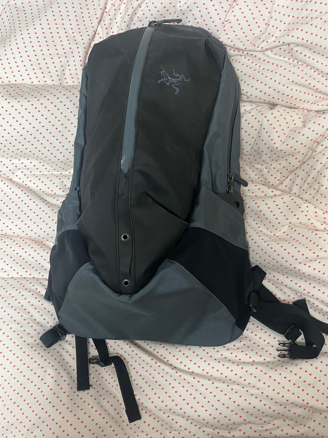 아크테릭스 아로22 상품이미지2