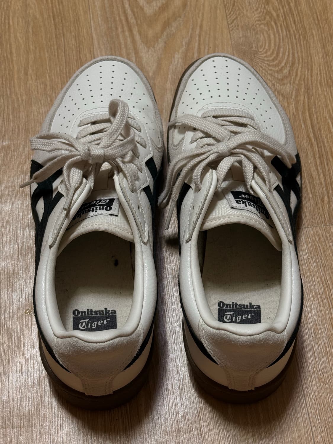 오니츠카 GSM 1183A353_127 /240 상품이미지5