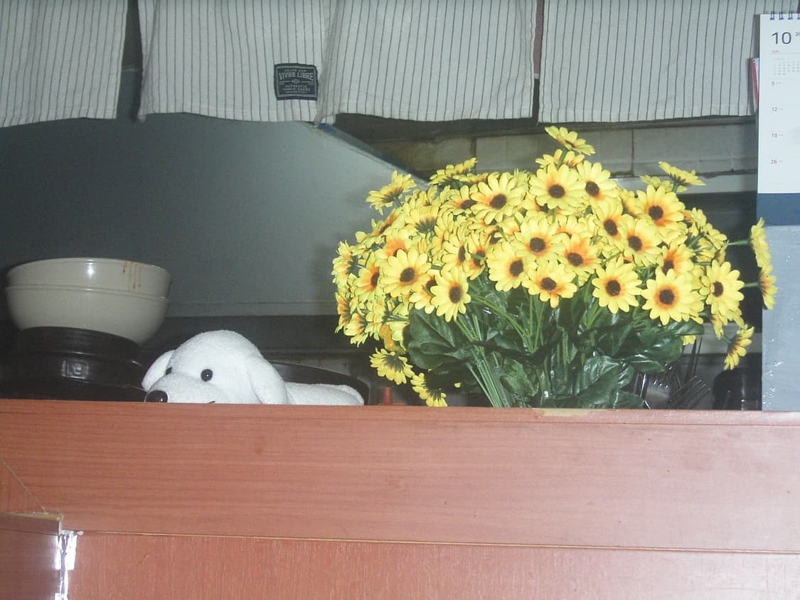 교세라 파인캠 쿄세라 파인캠 SL300R 상품이미지7