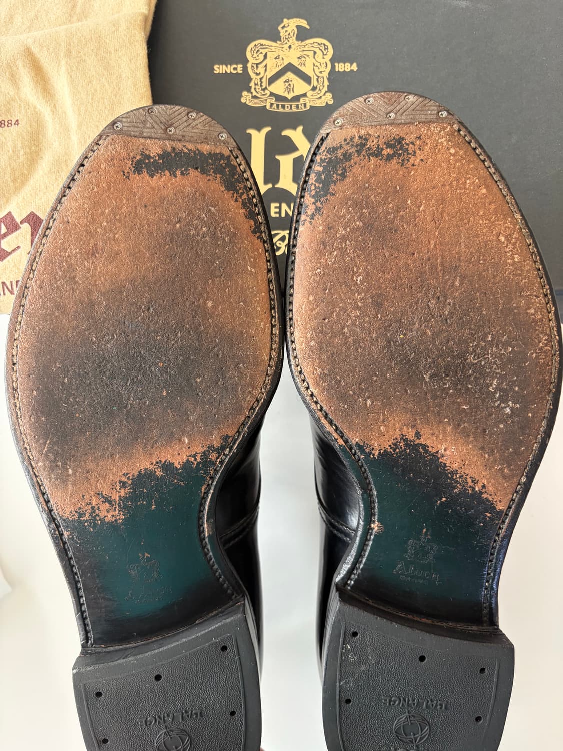 알든 모디파이드 v팁 9.5D 코도반 상품이미지3