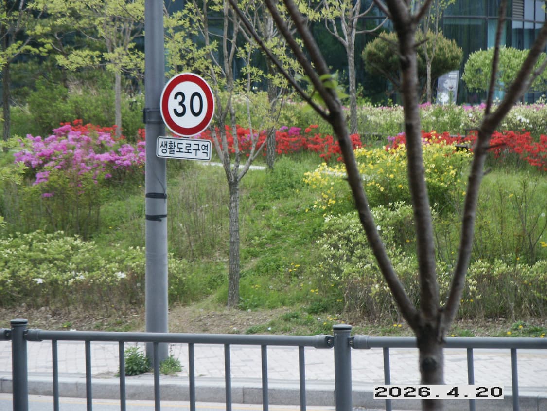 미놀타 S414 필카느낌 빈티지 디카 상품이미지9