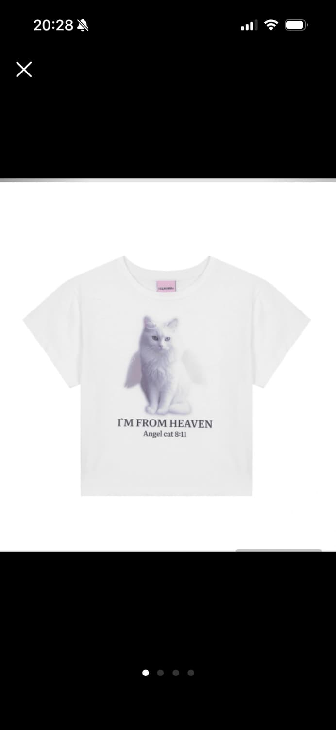 잇자바이브 엔젤 캣 티셔츠 상품이미지1