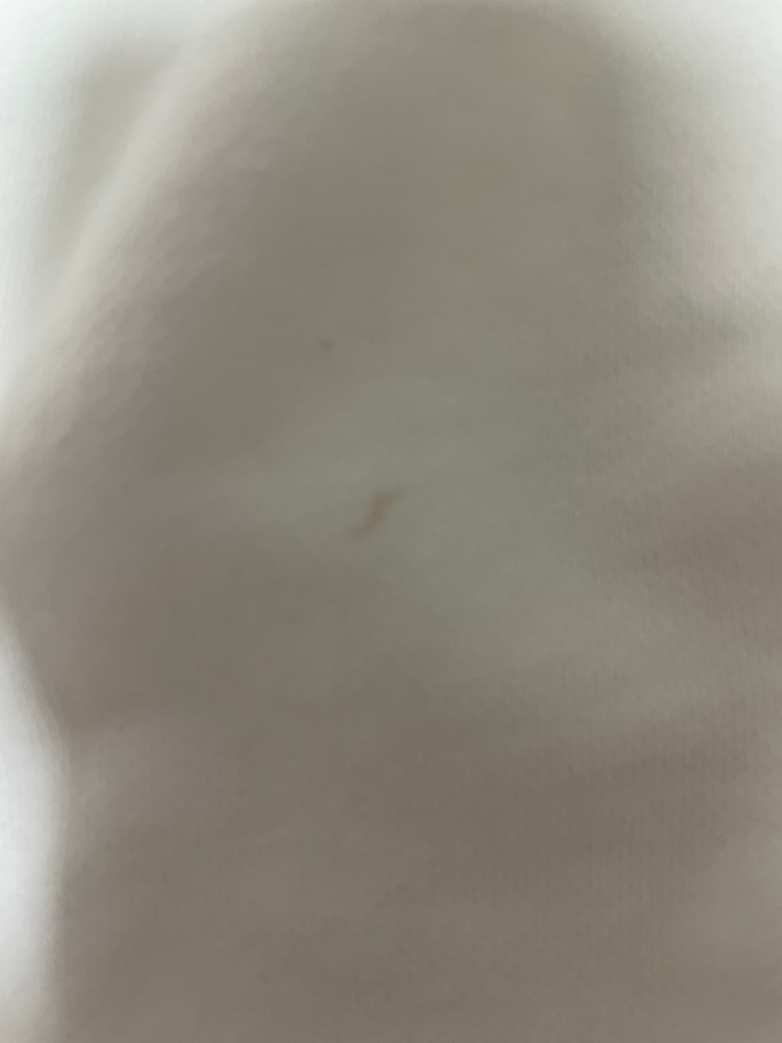 아디다스 맨투맨 100 상품이미지3