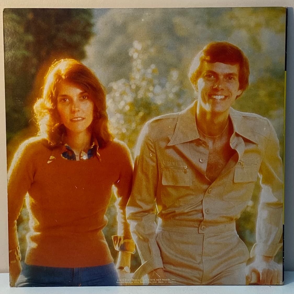 (LP) Carpenters - Superdisc Carpenters ' 상품이미지2