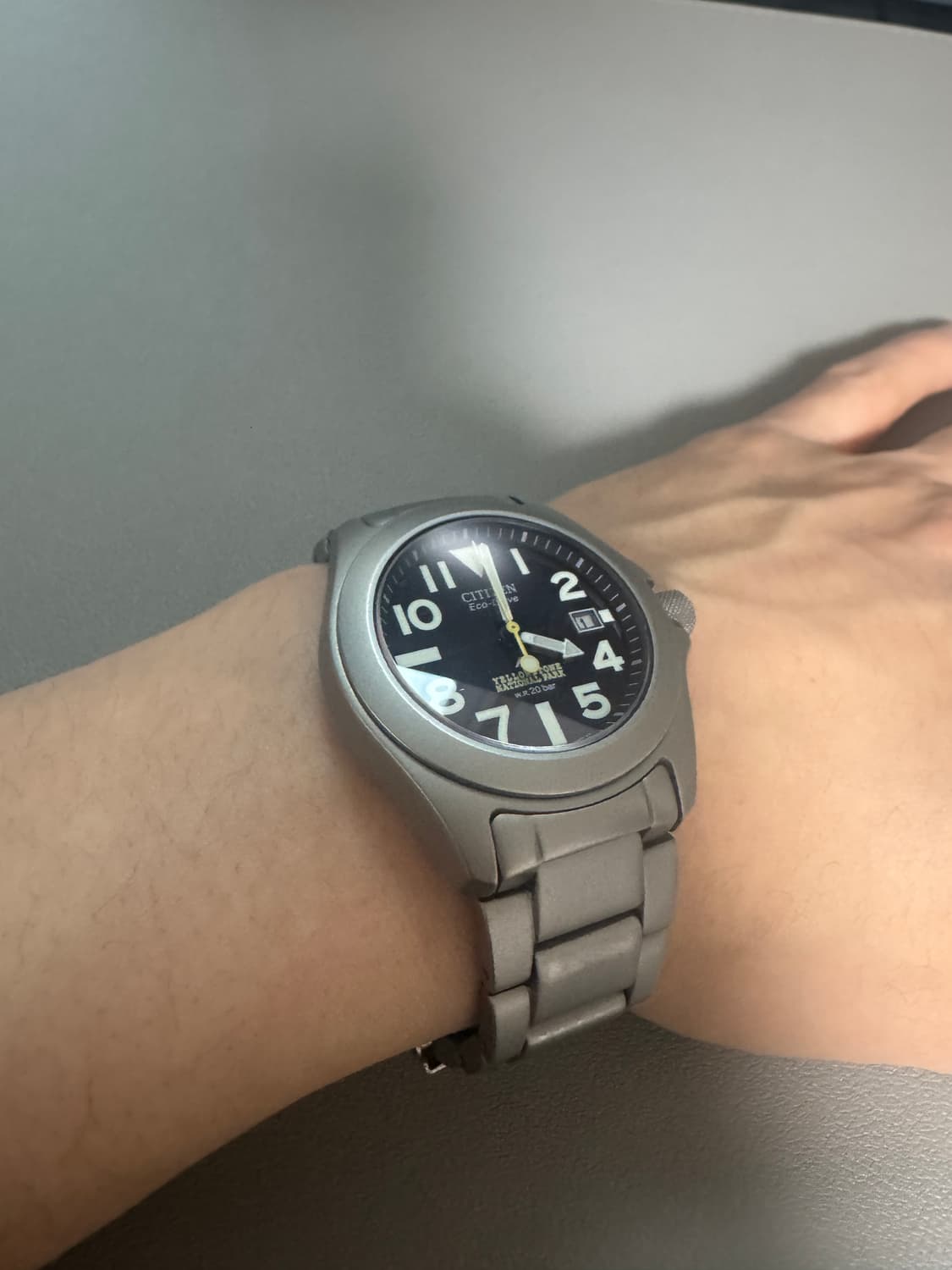 시티즌 프로마스터 터프 옐로스톤 국립공원 한정판 팝니다. 상품이미지9