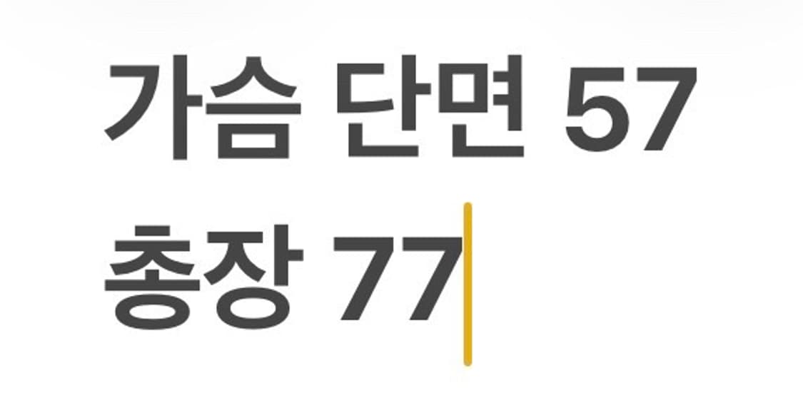 [정품/M] 노스페이스 써밋 600 옐로우 패딩 자켓 b10 상품이미지10