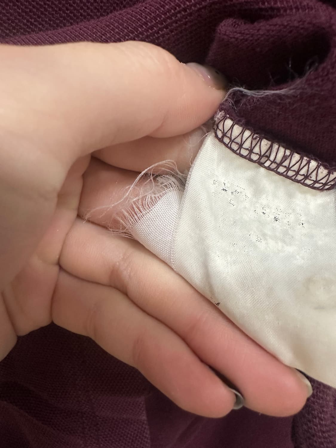 폴로랄프로렌 버건디 카라티  상품이미지3