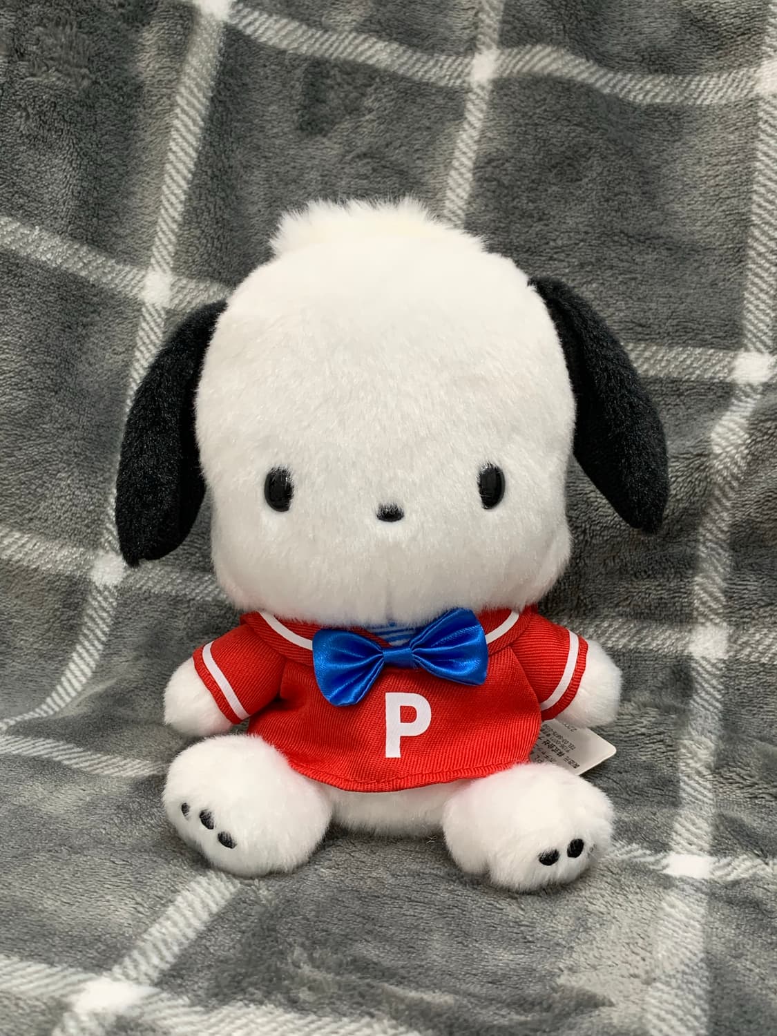 산리오 퓨로랜드 한정 포차코 인형 상품이미지1