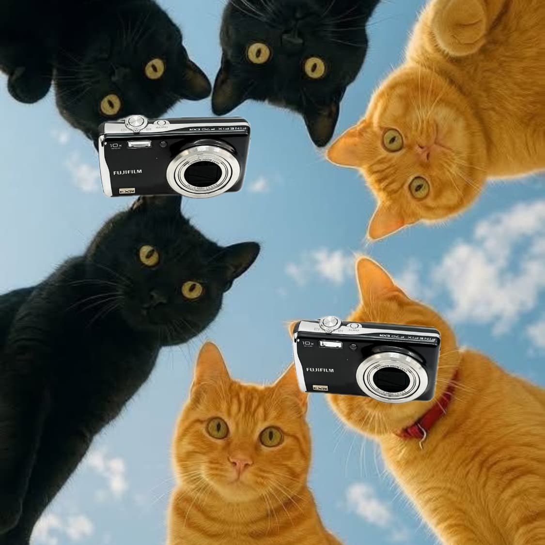 풀박스&원희!) FujiFilm Finepix F70 디카 카메라 상품이미지1