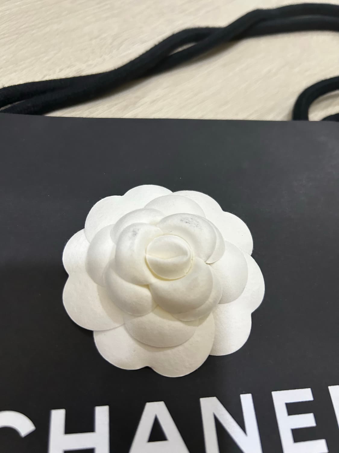 샤넬, 디올 쇼핑백 상품이미지4