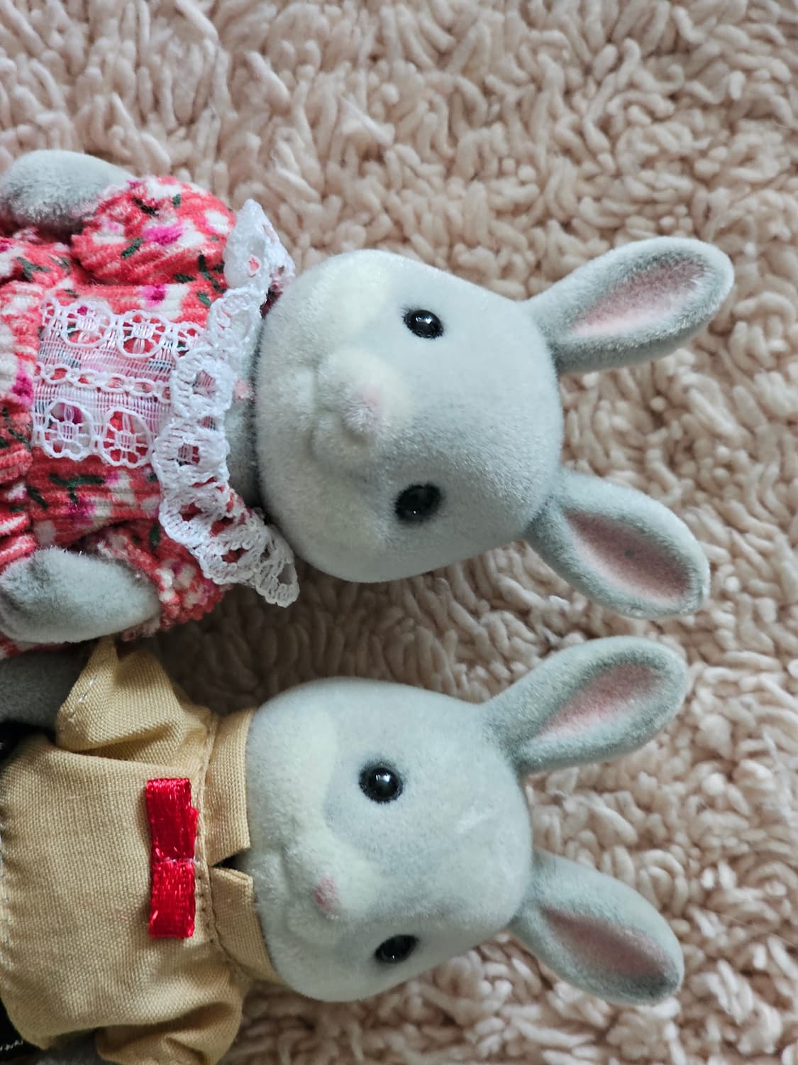 실바니안 패밀리 회색토끼(솜토끼) 판매합니다 상품이미지5