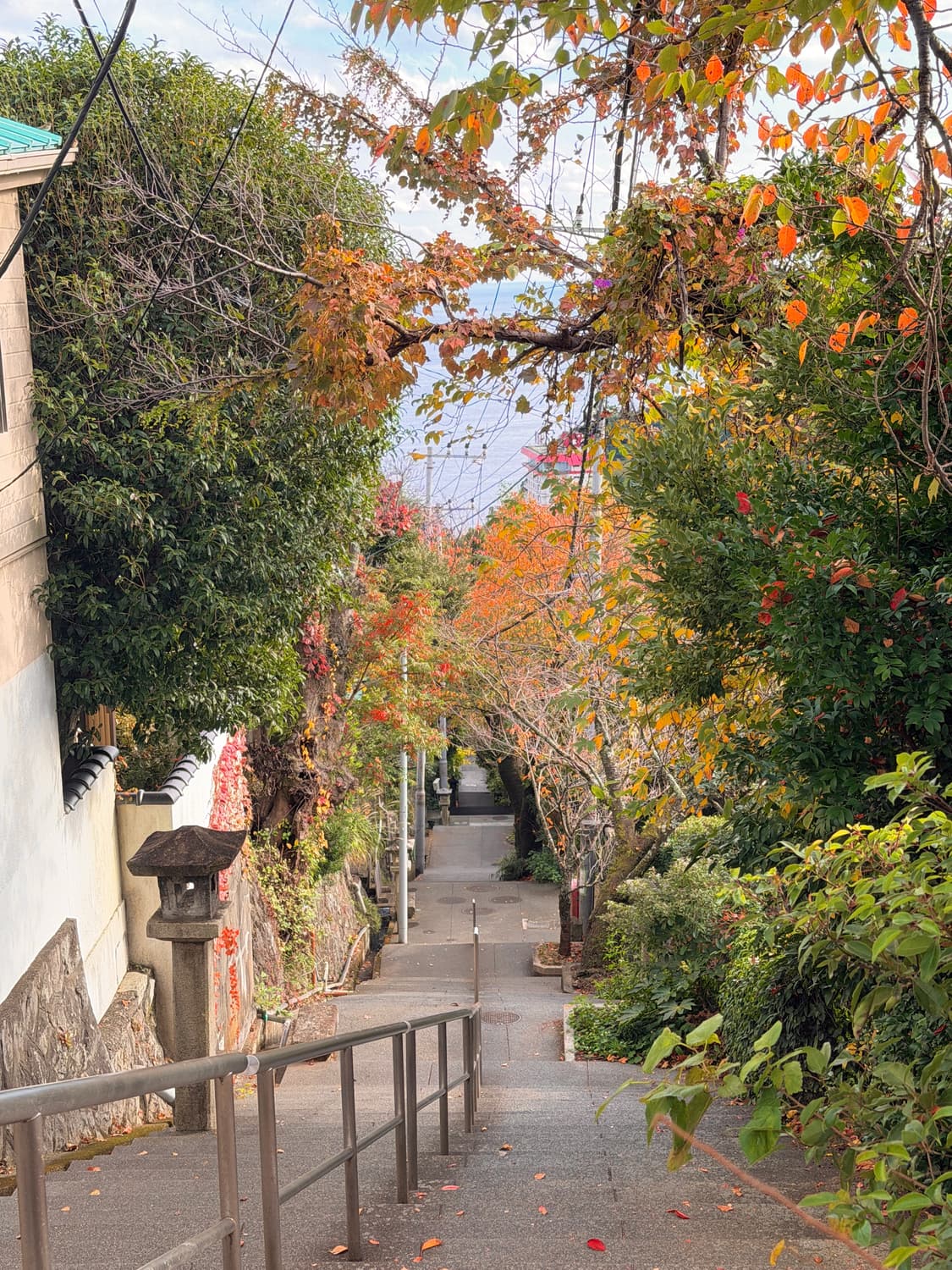 최상급🎀소니 사이버샷 dsc-W320 Sony Cyber shot  상품이미지10