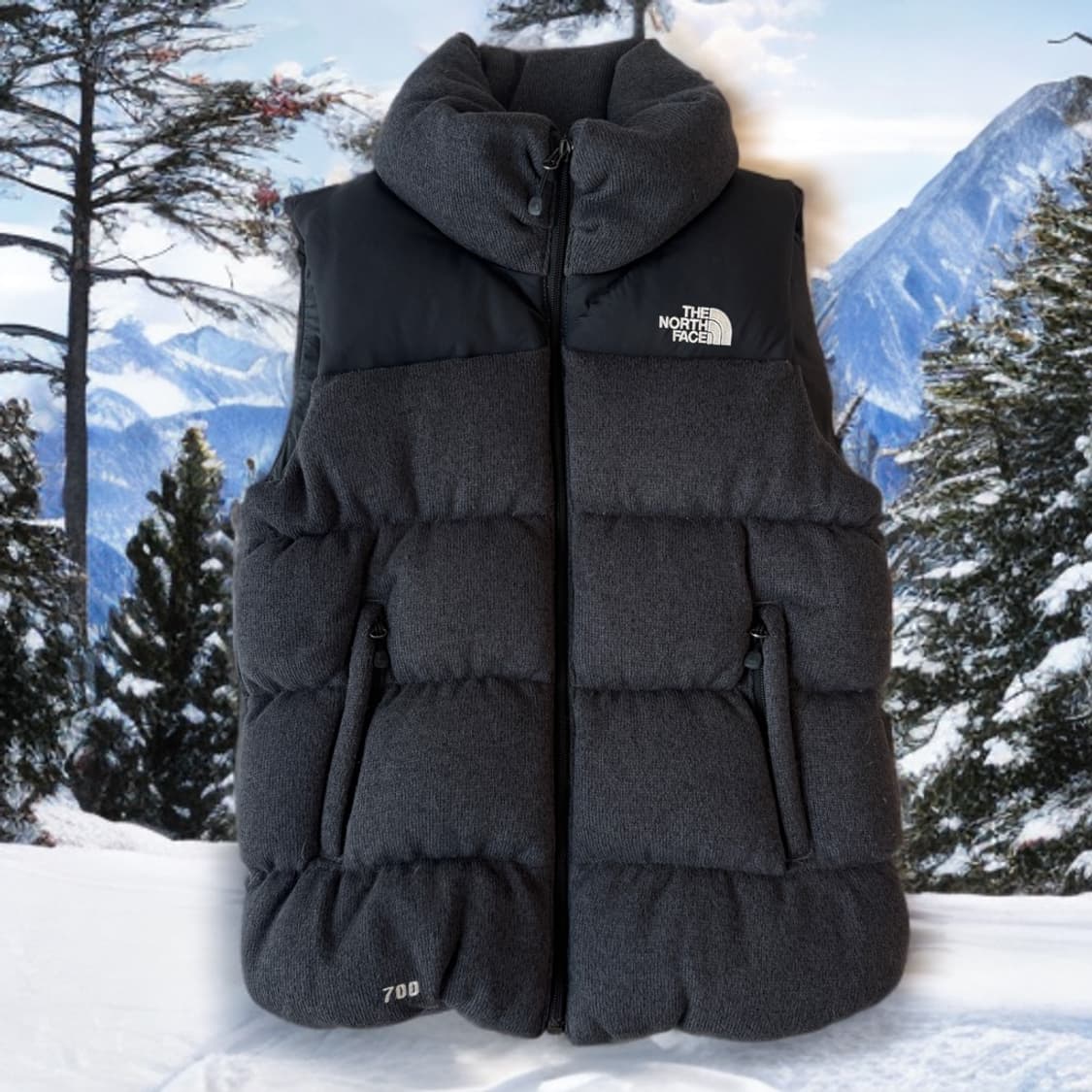 노스페이스 화이트 라벨 스웨이드 베스트 M 상품이미지1