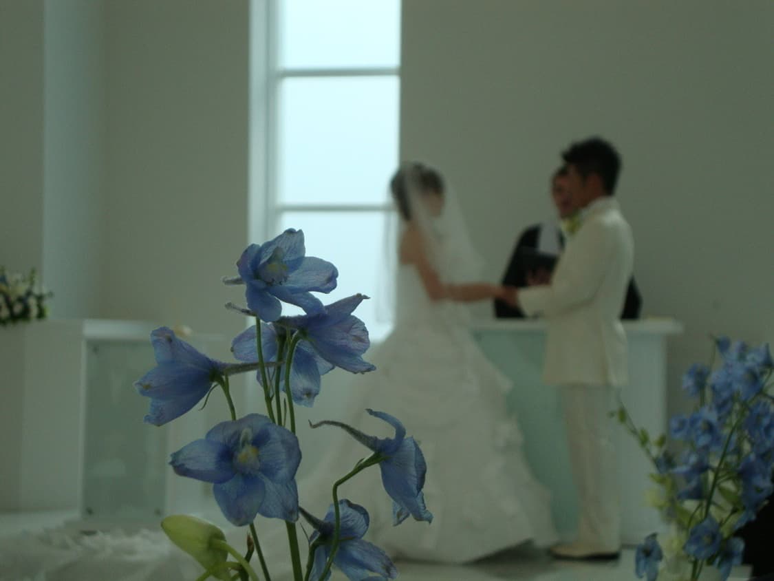 소니 사이버샷 Sony Cyber-shot DSC-W220 핑크 상품이미지4