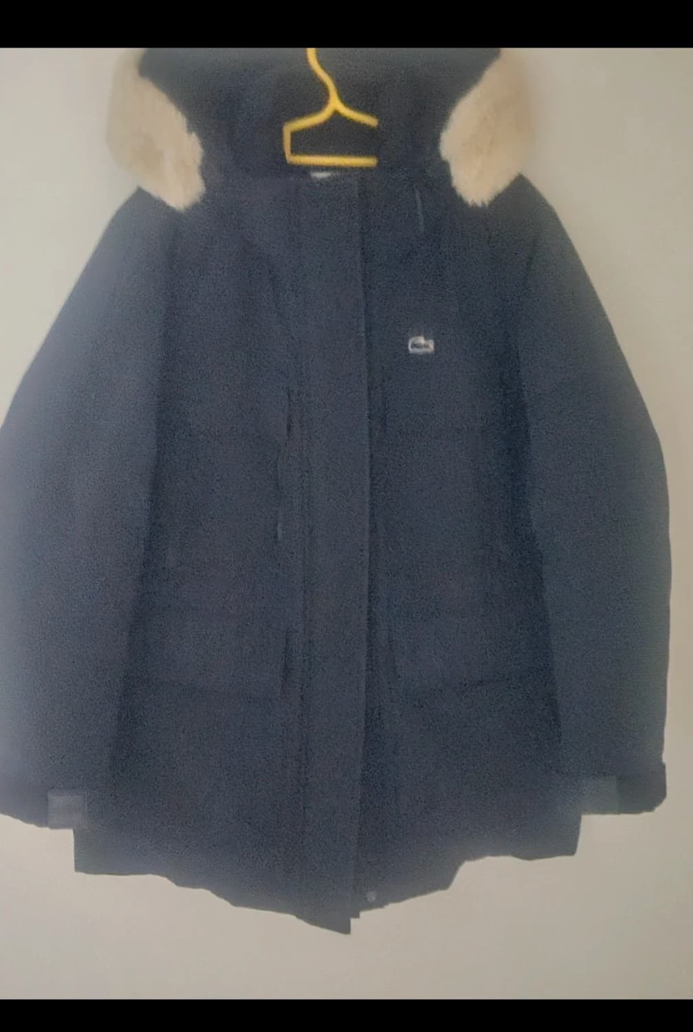 라코스테 남성 패딩 점퍼 네이비 38 상품이미지3