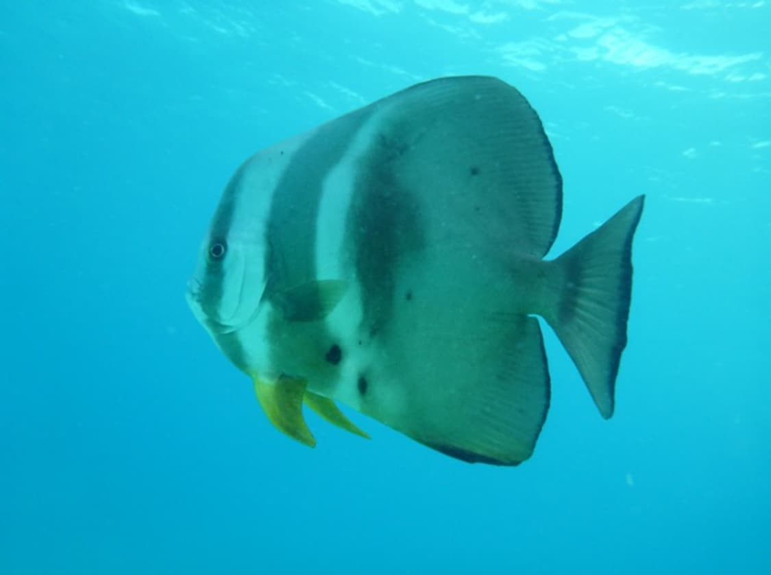 Panasonic lumix ts3 감성 콤팩트 수중 카메라 작례 O 상품이미지8