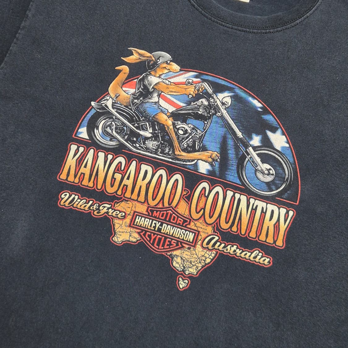 [L] 00s 할리데이비슨 오스트리아-634 상품이미지2