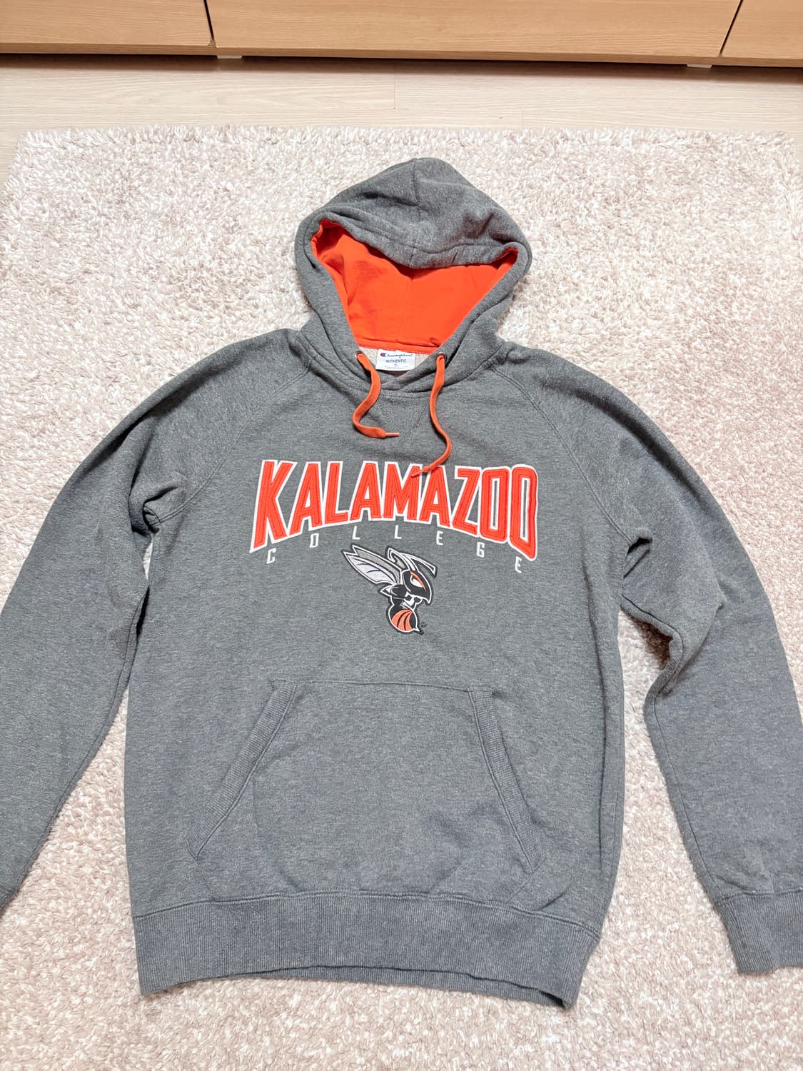 챔피온 후드티 상품이미지3