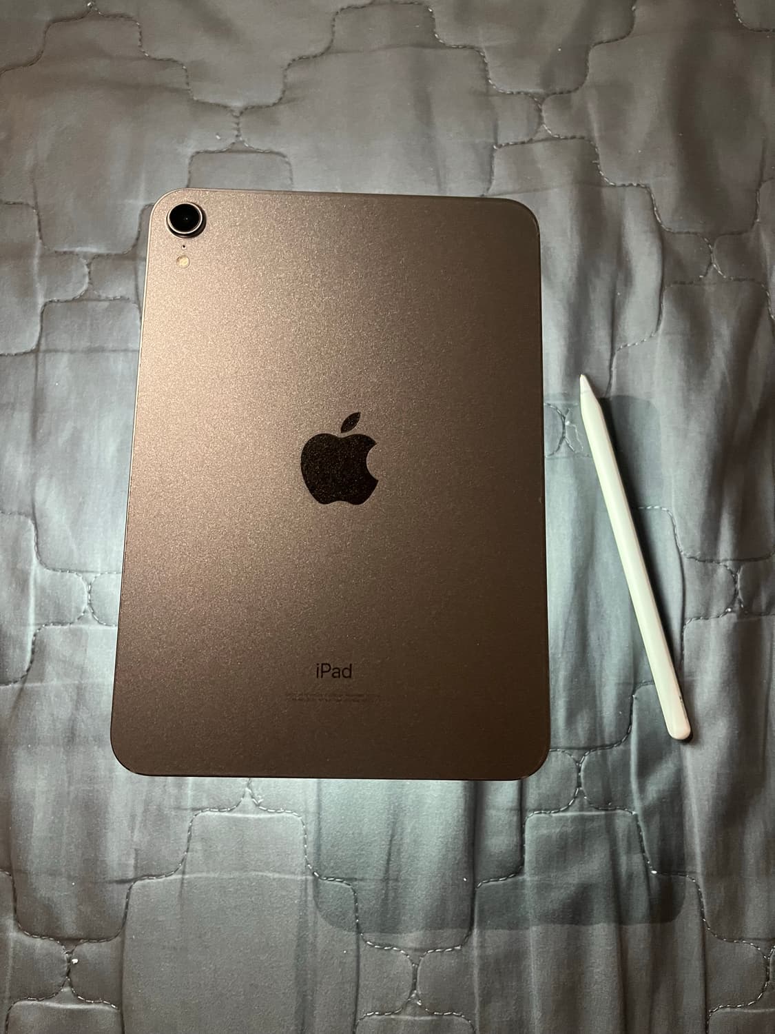 아이패드 미니6 256GB+에플펜슬2세대+에어팟 2 무선충전 지원 상품이미지3