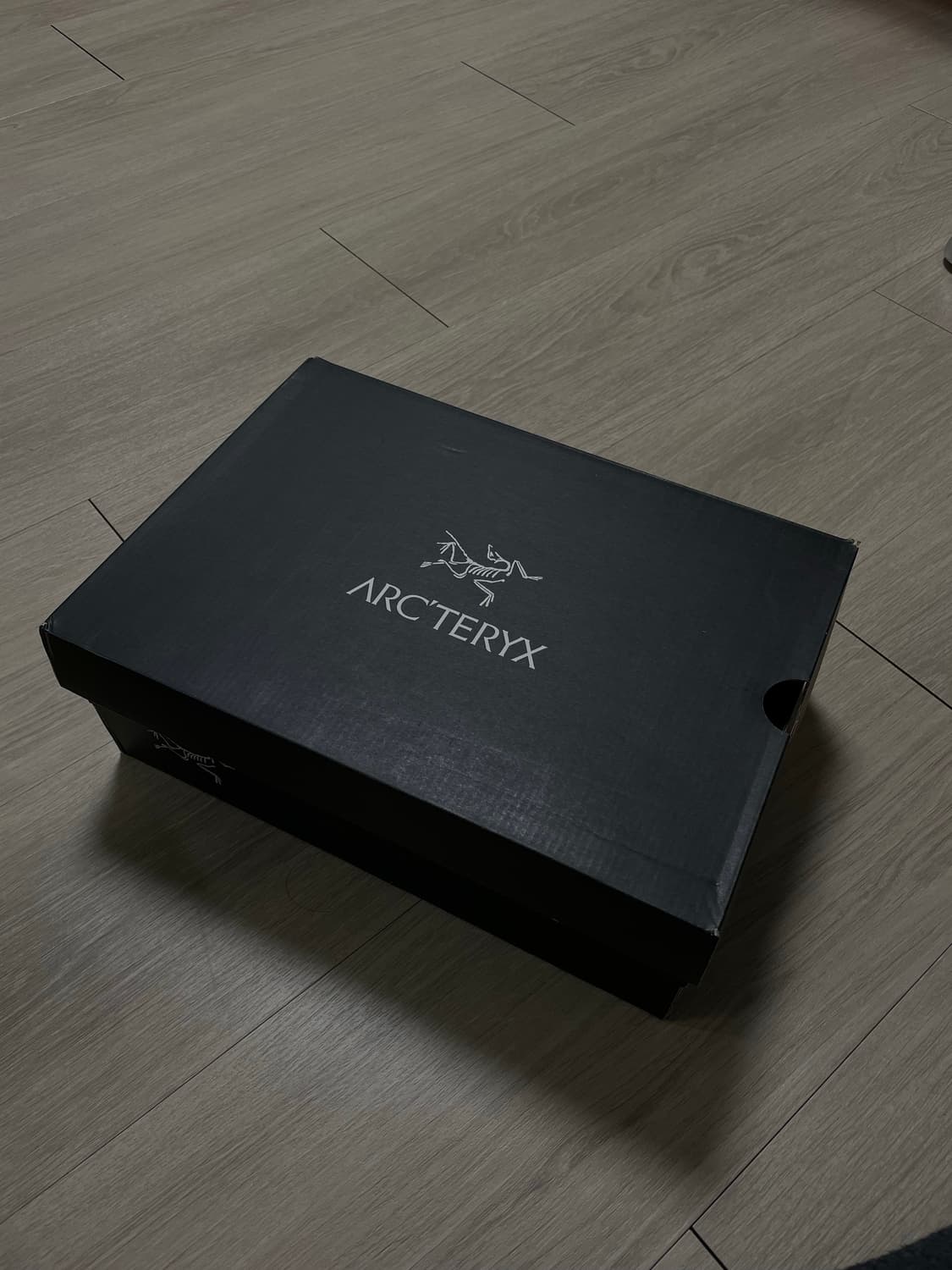 아크테릭스 에어리어스 FL MID GTX 남성 등산화 상품이미지3