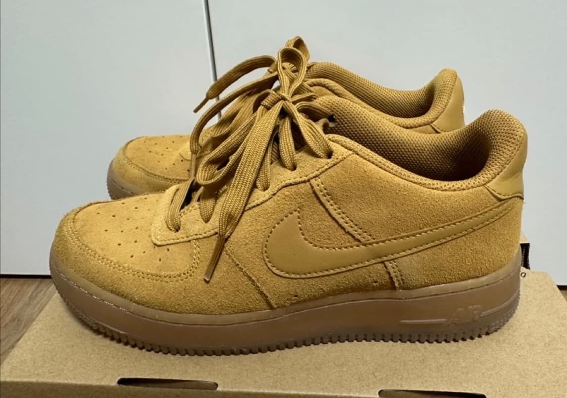 나이키 GS 된장포스 상품이미지1