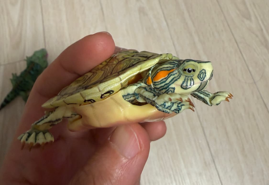 반다이 생물대도감 어드밴스 거북02 붉은귀거북 파스텔 상품이미지4