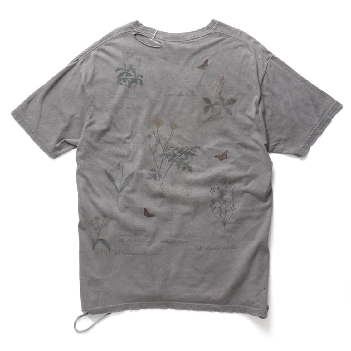 안셀름 ANCELLM Botanical T-shirt 상품이미지5