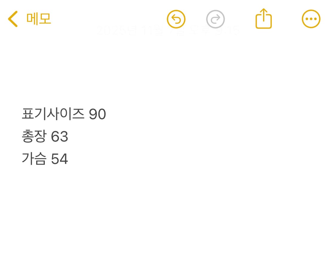 노스페이스 서밋시리즈 경량패딩 상품이미지3