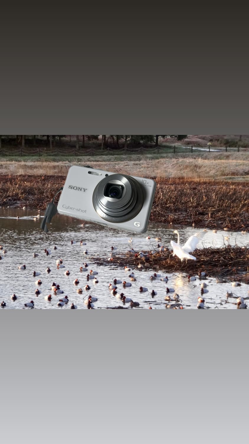 희귀 화이트 디카 소니 사이버샷 DSC-WX100 상품이미지1