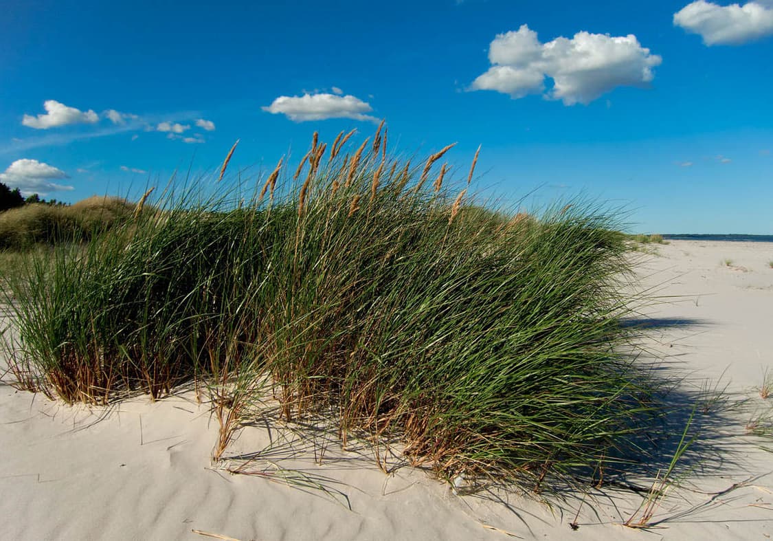 Panasonic DMC-TZ7 (파나소닉 DMC-TZ7) 상품이미지8