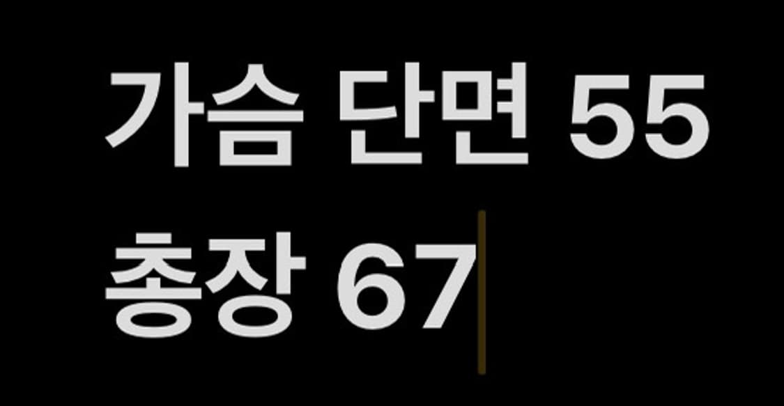 [ 정품/XL,105 ] 몽벨 밍크 기모 맨투맨 b16 상품이미지7