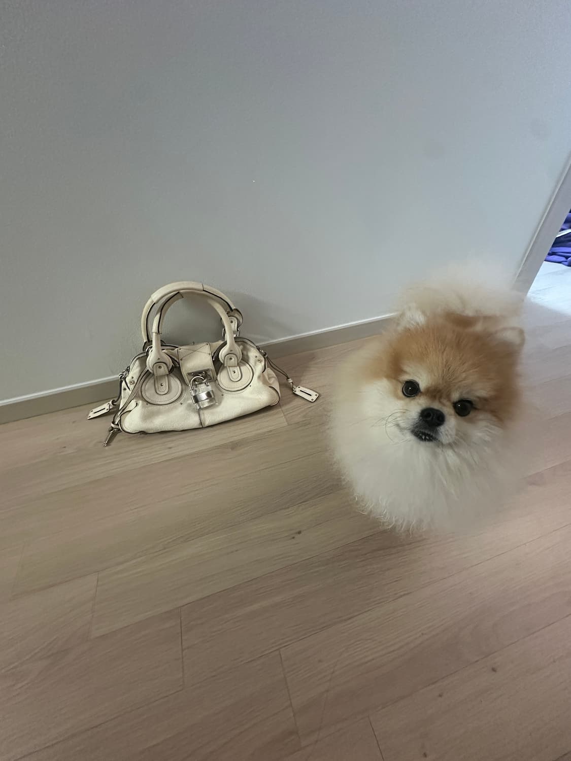 끌로에 패딩턴 크림 베이지 화이트계열 상품이미지1