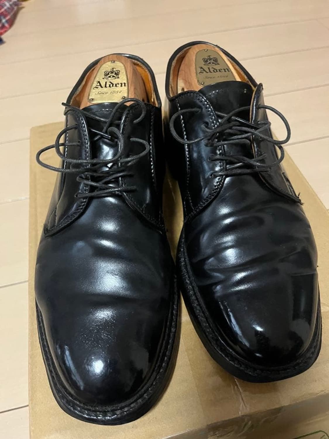 (7d) 알든 alden 9901 코도반 상품이미지2