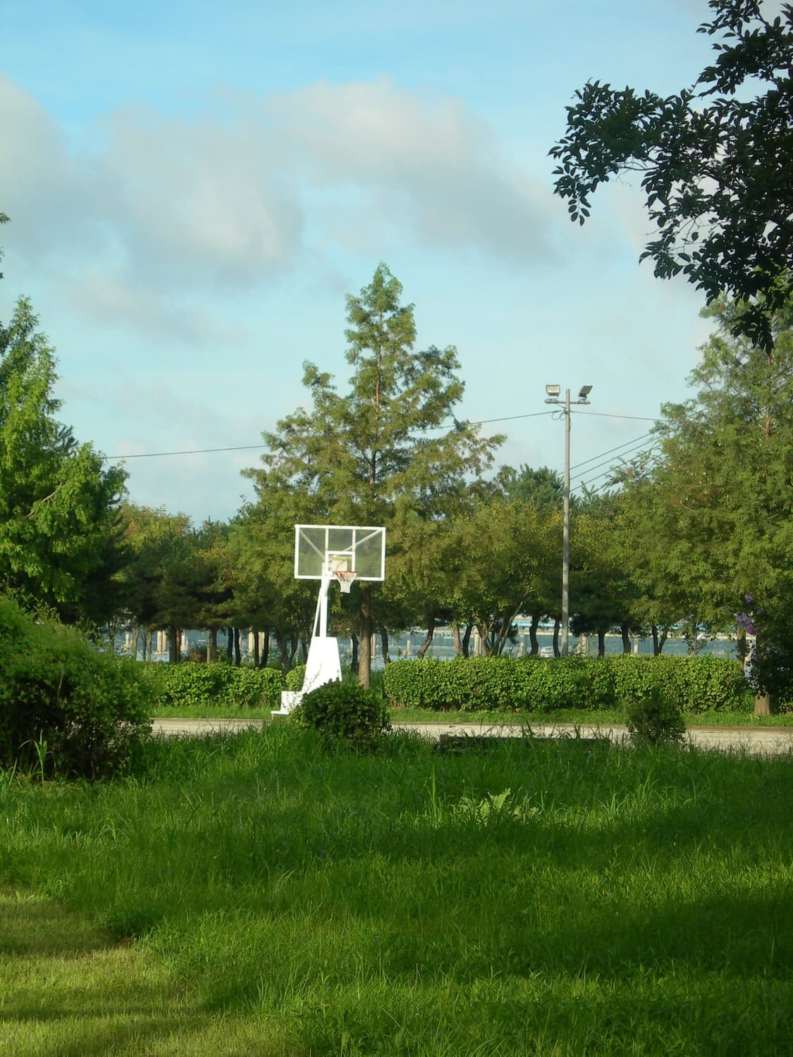 작례) nikon coolpix 7600 상품이미지8