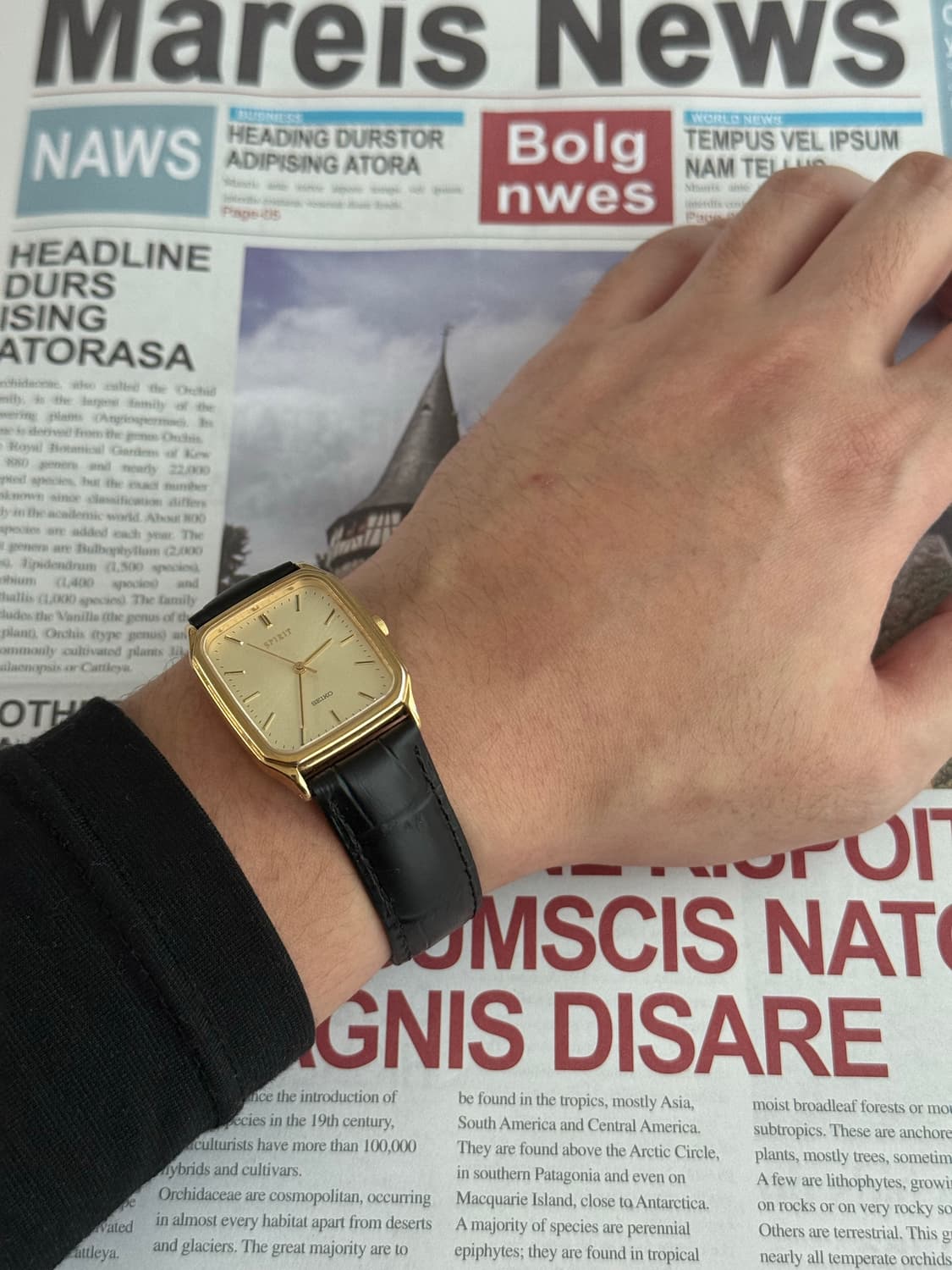 세이코 Seiko 쿼츠 스피릿 스퀘어 골드 상품이미지4