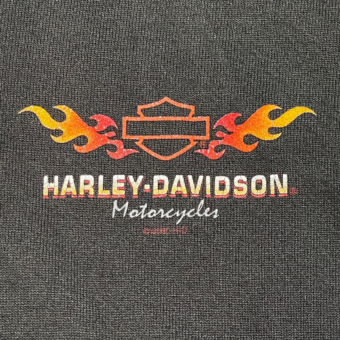 [2XL] 00‘s 할리데이비슨 플레임 후드집업 상품이미지3