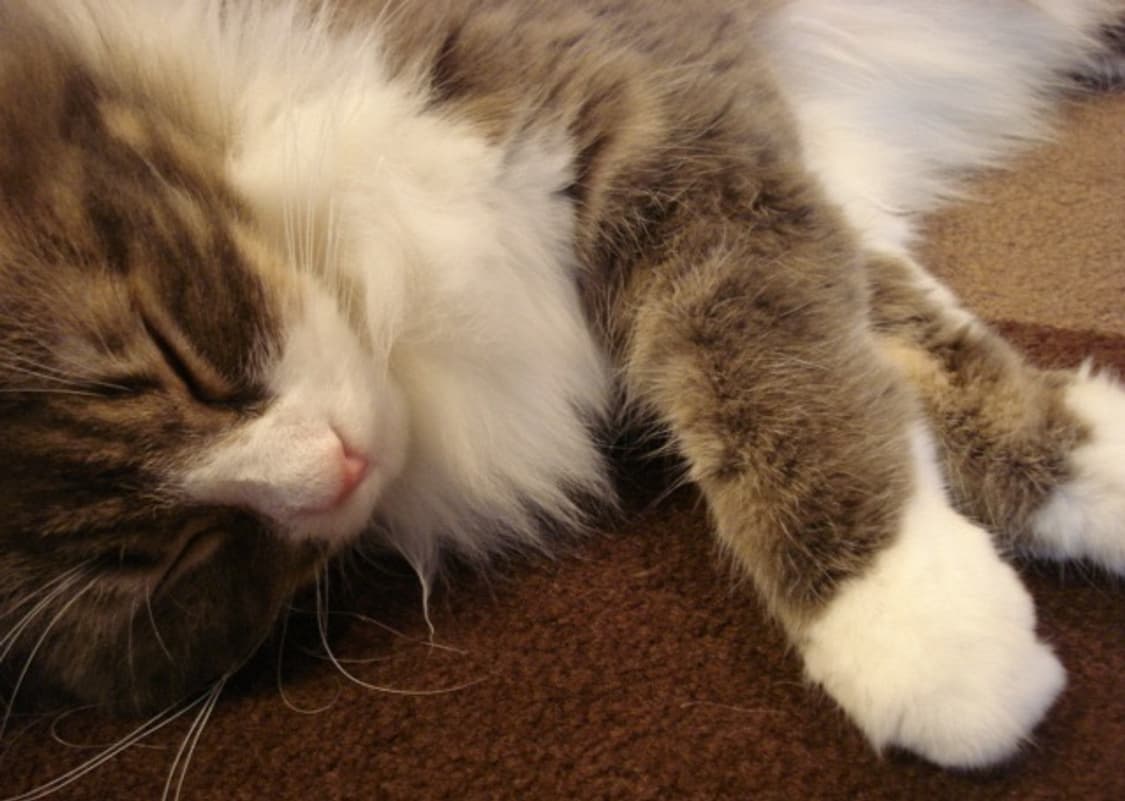 (색감/감성✨) 소니 sony 사이버샷 DSC-w35 디카 디지털카메라 상품이미지10