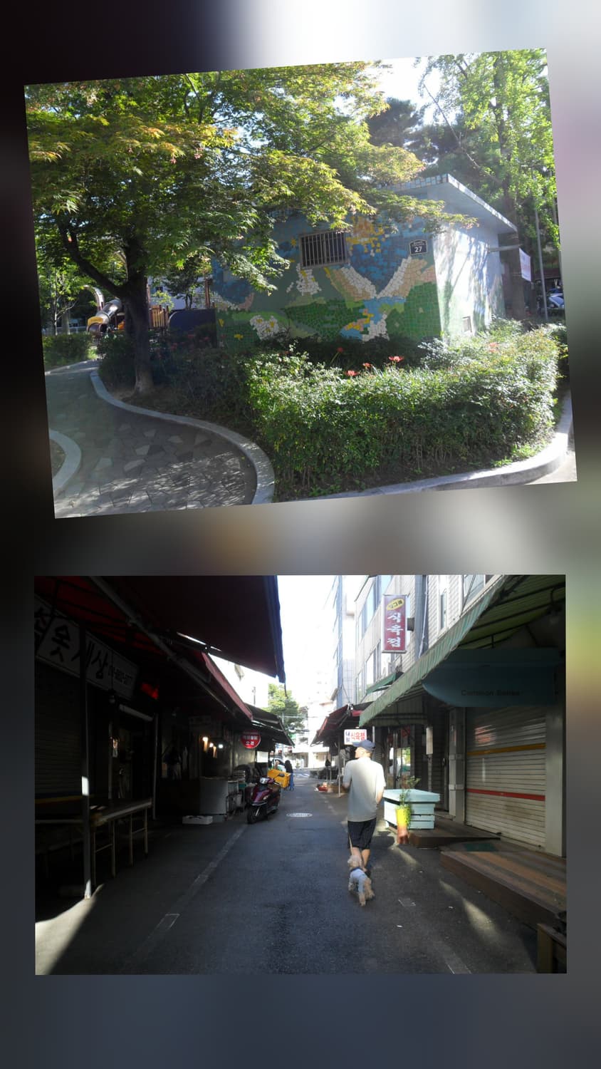 삼성 ES25 디지털카메라 상품이미지10